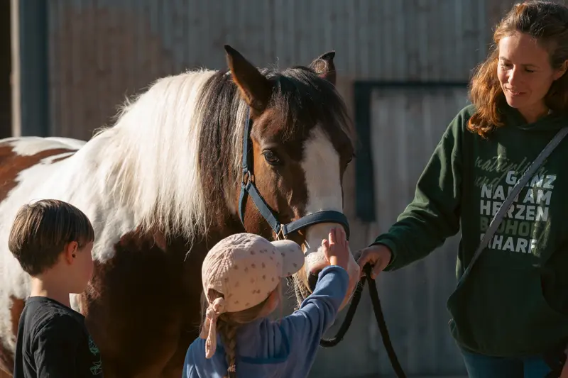 Ein Kind streichelt ein Pony am Stall